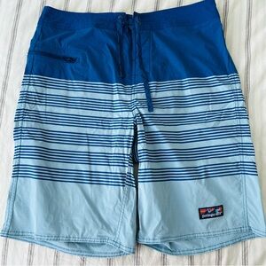 Patagonia Men’s Board Shorts Sz 34 Blue Stripe Swim Trunks Surf